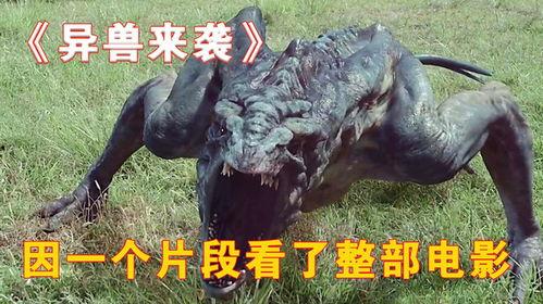 国产电影异兽搞笑视频,国产电影中的欢乐奇幻之旅