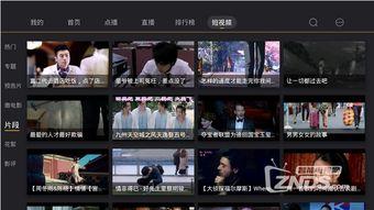 国产强爽在线视频,畅享视听盛宴，解锁全新娱乐体验