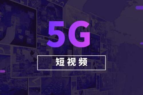 国产价拍免费视频,揭秘国内热门免费影视资源平台