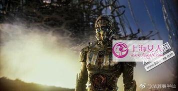 变形金刚5国产广告视频,终极之战国产广告视频：钢铁巨兽再临，国产元素闪耀登场