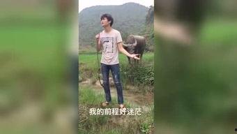 国产短片福利视频下载,独家下载，尽享视听盛宴