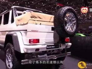 国产跑车专访视频,专访揭秘国产跑车背后的故事