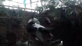 国产挠脚免费视频