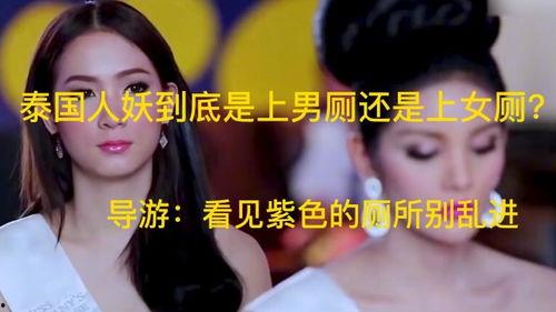 国产人妖XXXX视频,一场视觉与情感的交织之旅