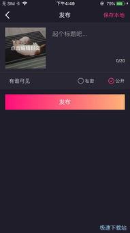 国产最新小视频网站免费,免费畅享潮流内容盛宴