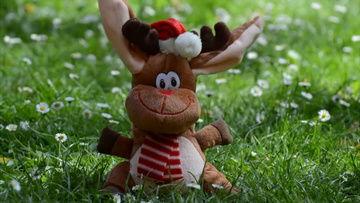 国产动漫视频搞笑素材网,笑点满满，欢乐无限